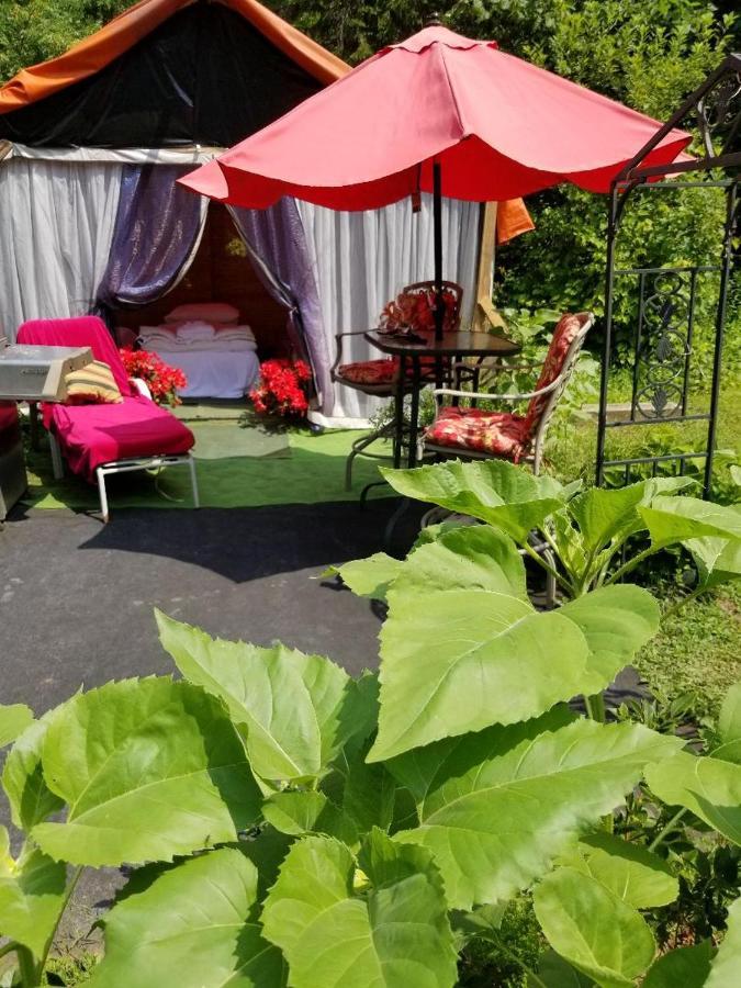 Ethel Maud Place Hotel Severn ภายนอก รูปภาพ