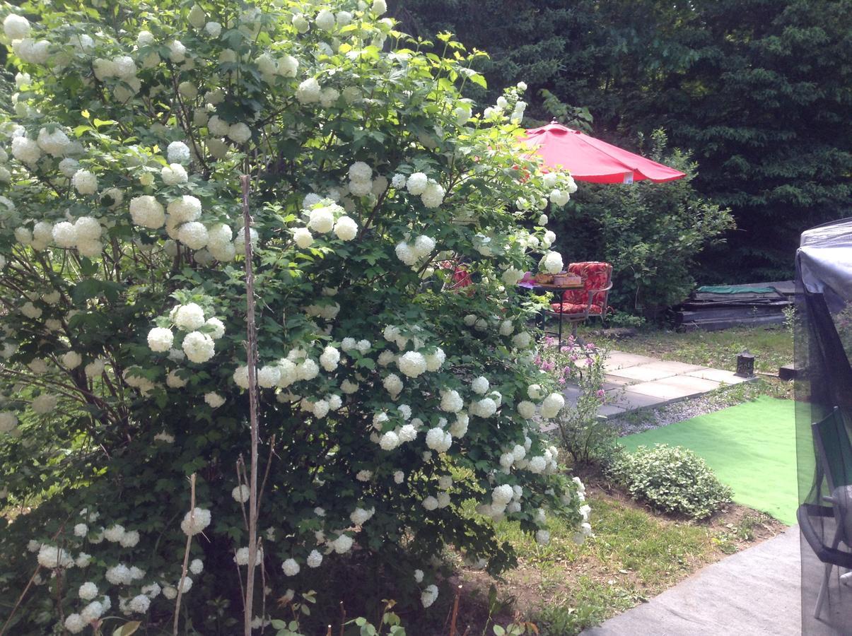 Ethel Maud Place Hotel Severn ภายนอก รูปภาพ
